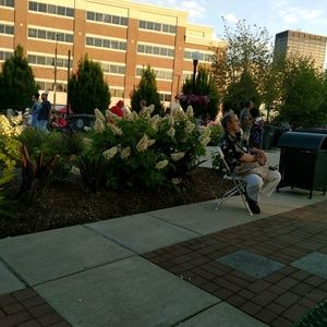 Meet your Posher, Gaile